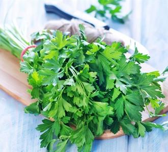 بهترین ماده برای تسهیل و هضم غذا